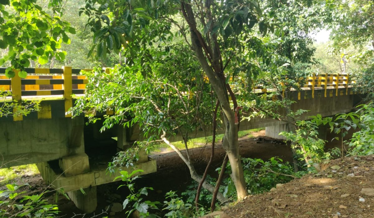 Small cross-drainage structure hidden in vegetation during a bridge inventory field survey in India